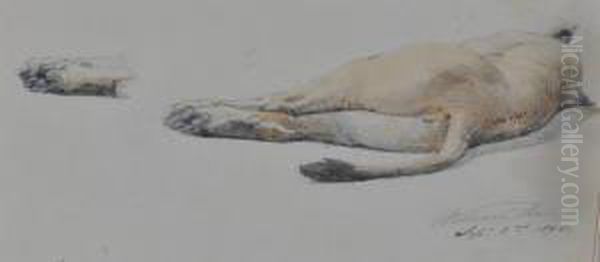 Recumbent Lioness - view 1