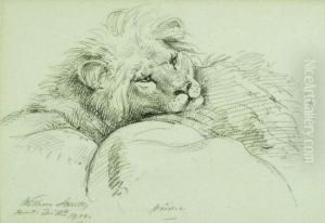 A Lion by William Strutt