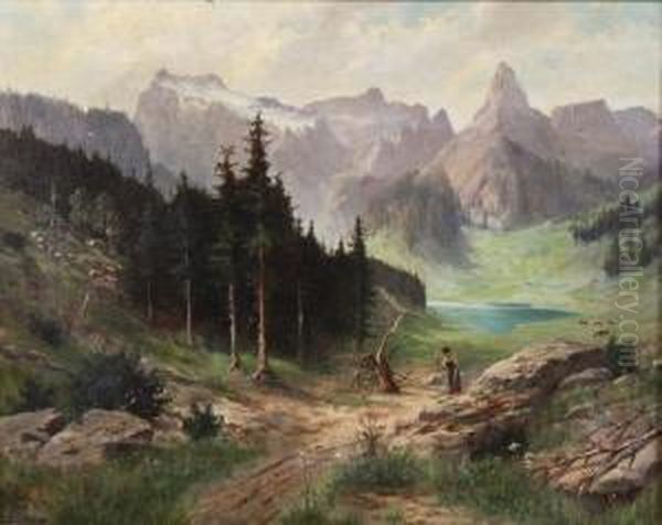 Landscape - view 1