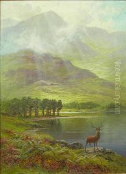Stag By A Highland Loch - view 1