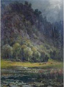 A Scottish Mountain Loch With Water Lilies And Mountains Beyond