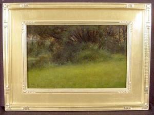Trees, Washington Park by James Stuart