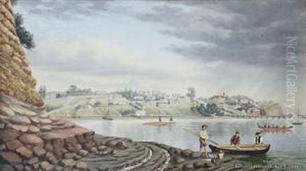 Point Britomart From Official Bay,auckland - view 1