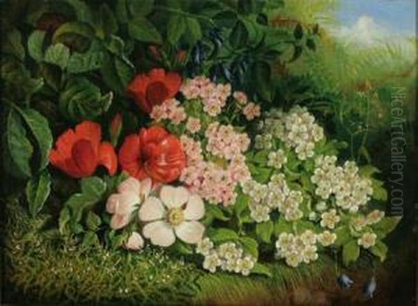 Wild Flowers In A Landscape - view 1