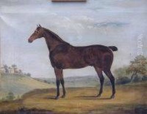 Horse In A Landscape