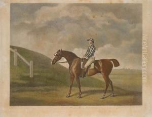Pumpkin After George Stubbs by George Stubbs