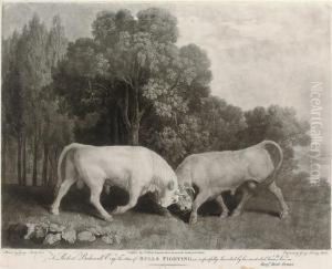 Bulls Fighting by George Stubbs