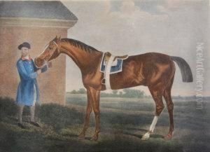 Kelly Esq Was Bred By The Late D. Of Cumberland & Was Bou by George Stubbs