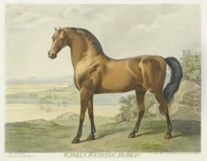 Warren Hastings' Arabian