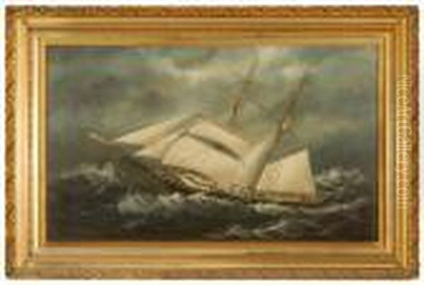 Portrait Of The Brig Stilia - view 1