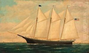 The Three Masted Coastal Schooner by William Pierce Stubbs