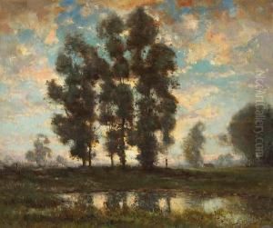 Eucalyptus - Morning Light by Dedrick Brandes Stuber
