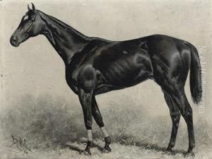 Dr Rice, Winner Of The Brooklyn Handicap 1894, Gravesand by Henry Stull
