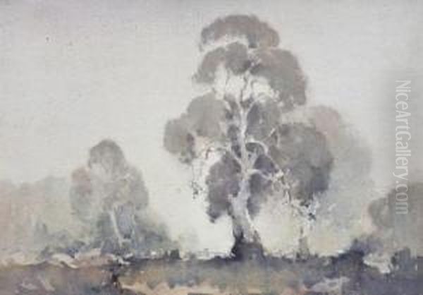 Grey Gums - view 1