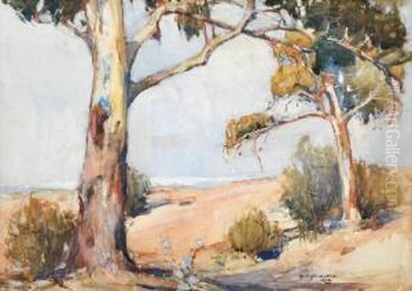 Summer Gums - view 1