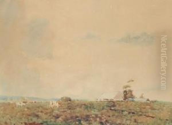 Cattle Grazing - view 1