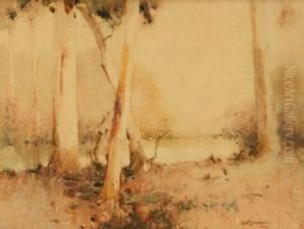 View Through The Trees - view 1