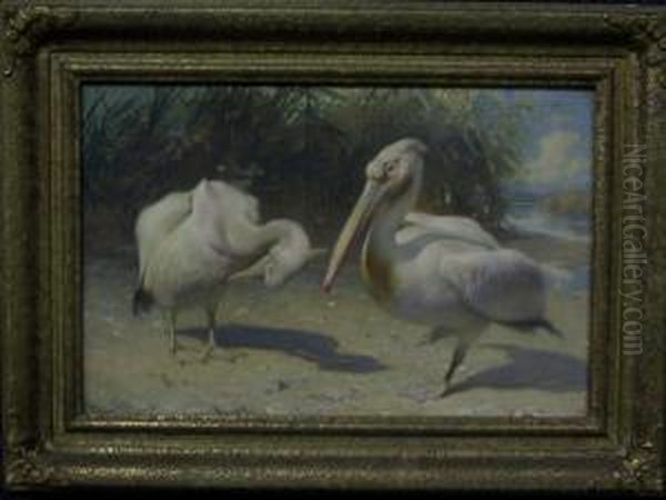 Twee Pelikanen - view 1