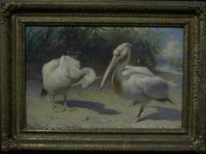 Twee Pelikanen by George Sturm