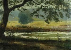 Pejzaz Letni by Bernhard Sturmhoefel