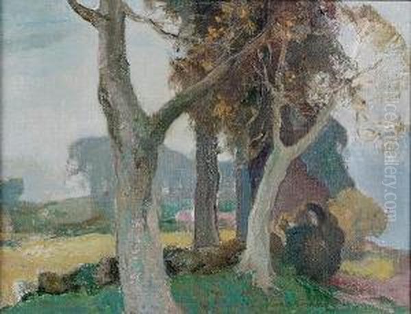Farmland Near Anwoth By Gatehouse Of Fleet - view 1