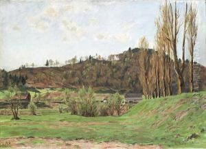 Am Rhein, Gegenuber Ruedlingen by Hans Sturzenegger