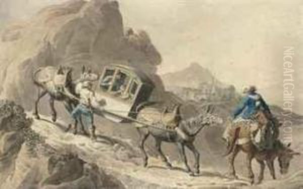 The Stubborn Mules - view 1