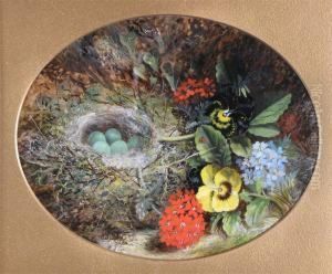 Forest Floor Still Life Of Flowers And A Bird's Nest by Joseph Such
