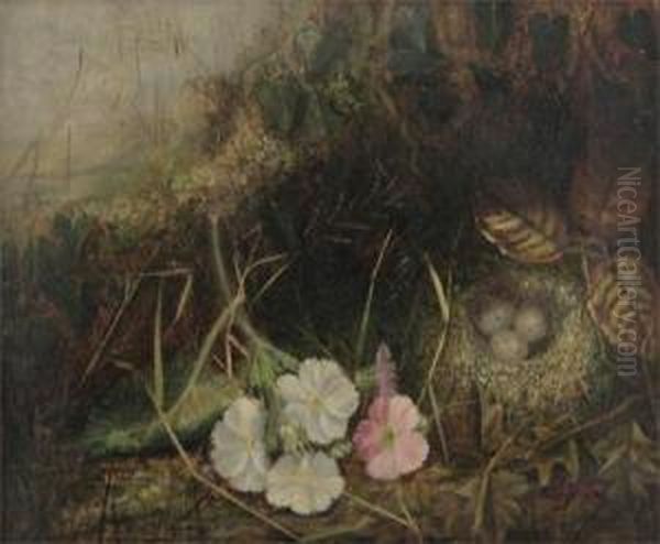 Roses Amongst Foliage; Primroses And A Birds Nest In Amongst Foliage - view 1