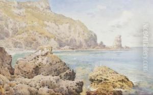 Limestone Cliff, Near Torquay, Devon