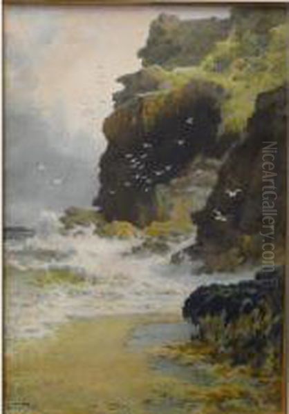 West Country Cliffs - view 1