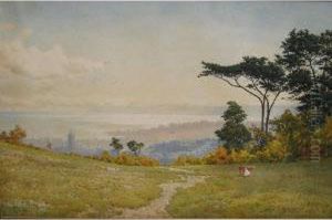 Panoramic View Over Paignton Towards Berry Head From Fields Above Preston by Arthur Suker