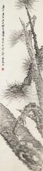 Pine - view 1