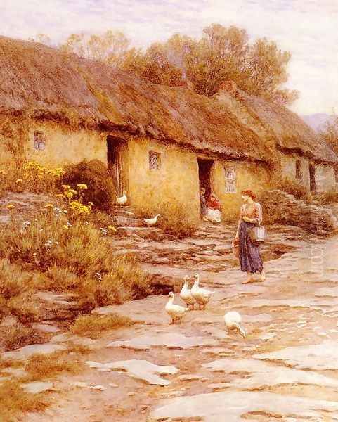 Irish Cottage - view 1