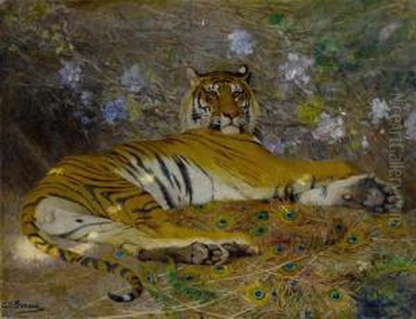 Tigre De L'annam - view 1