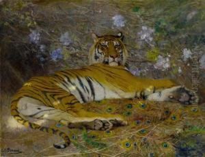 Tigre De L'annam by Gustave Surand