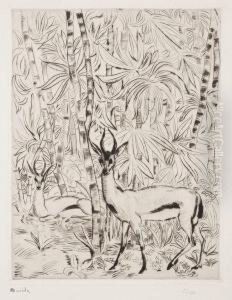 Deux Gazelles Dans La Jungle by Andre Sureda