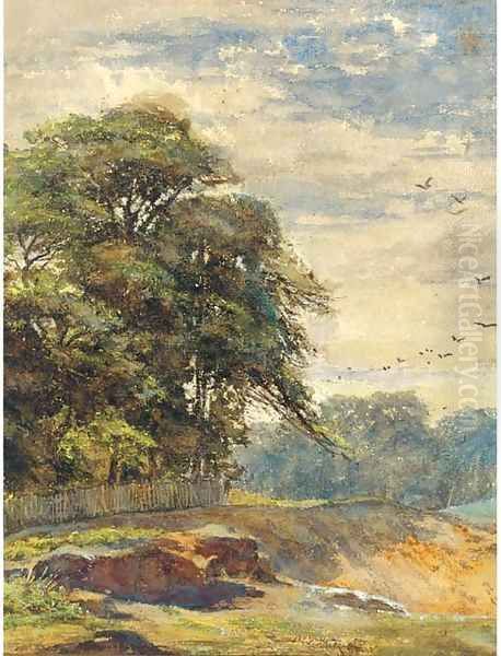 Hampstead Heath - view 1