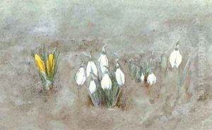Study of crocuses by Helen Mary Elizabeth Allingham