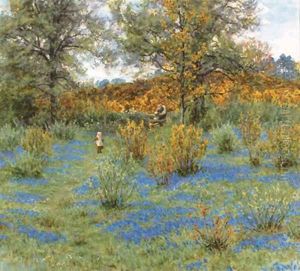 The bluebell copse