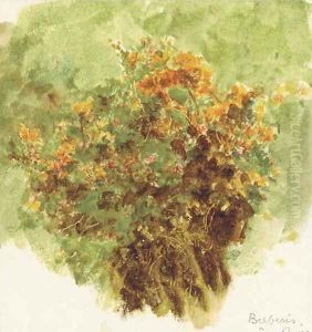 Study of berberis sunshine by Helen Mary Elizabeth Allingham