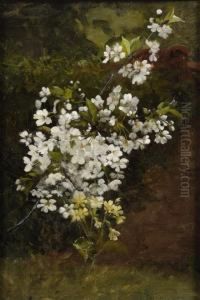 Apfelblutenzweig Und Schlusselblumen.