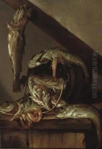 Haddock By A Bucket On A Wooden Table Haddock By A Bucket On A Wooden Table