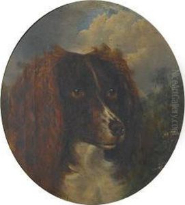 Portrait Of A Springer Spaniel