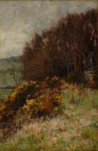 British Summer Landscape With Flowering Gorse by Lester Sutcliffe