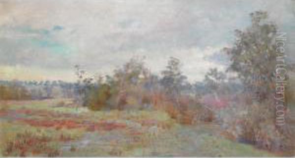 After Autumn Rain - view 1