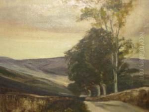 Road Down Wharfedale Road Down Wharfedale
