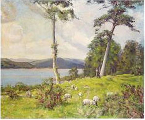The Shepherd's Rest - view 1