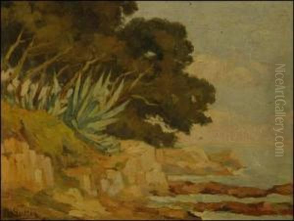 Cliffs - view 1