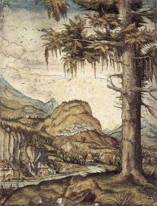 Large Fir 1512 by Albrecht Altdorfer